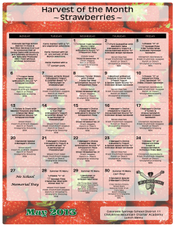 Strawberries - The Vanguard School