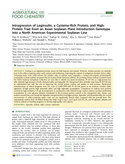 Introgression of Leginsulin, a Cysteine
