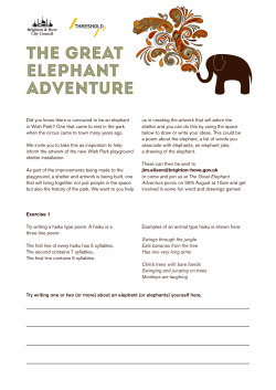 THE GREAT ELEPHANT adventure