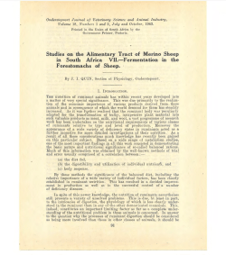 Studies on the Alimentary Tract &middot;of Merino Sheep in South Africa VII