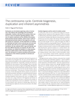 The centrosome cycle: Centriole biogenesis, duplication