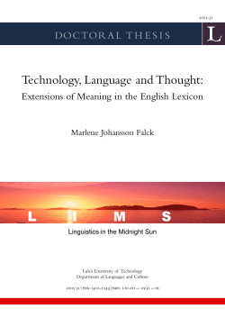 Technology, Language and Thought - Extensions of Meaning in the