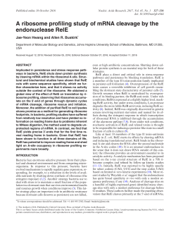 A ribosome profiling study of mRNA cleavage by the endonuclease