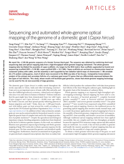 Sequencing and automated whole-genome optical
