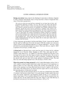 living animals, locked in stone