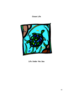 Ocean Life Life U nder the Sea