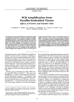 PCR Amplification from Paraffin