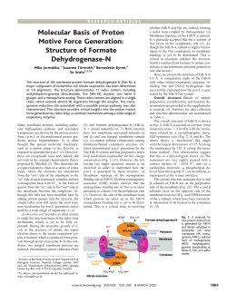 Molecular Basis of Proton Motive Force Generation: Structure of
