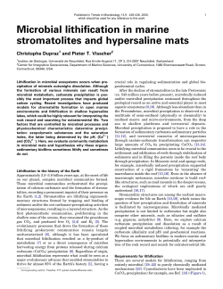 Dupraz C, Visscher PT.. Microbial lithification in marine stromatolites