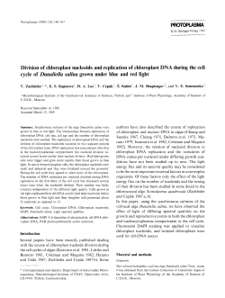 Division of chloroplast nucleoids and replication of chloroplast DNA