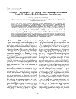 Evolution of a RNA Polymerase Gene Family in Silene