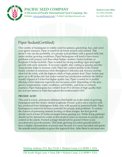 Piper Sudan(Certified)