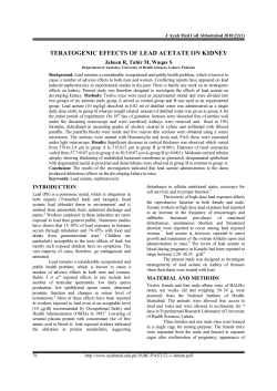 TERATOGENIC EFFECTS OF LEAD ACETATE ON KIDNEY