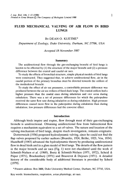 fluid mechanical valving of air flow in bird lungs by dean o. kuethe