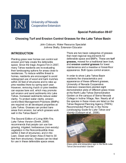 Choosing Turf and Erosion Control Grasses for the Lake Tahoe Basin