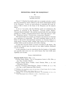 probably to C. basalis), Chrysopa dclmasi Navas~ (this is the same