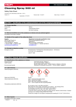 Cleaning Spray 500 ml