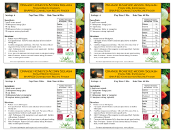 Orange Honeyed Acorn Squash pub