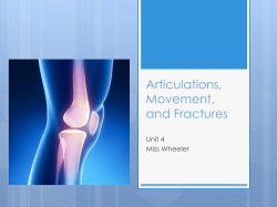 Joints NOTES