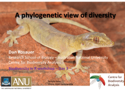 Phylo 1 Mapping Evolutionary Diversity