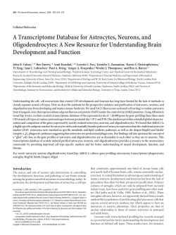 A Transcriptome Database for Astrocytes, Neurons, and