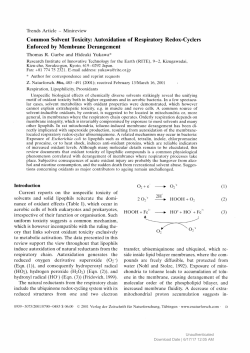 Common Solvent Toxicity: Autoxidation of Respiratory