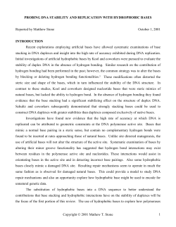 Probing DNA Stability and Replication with Hydrophobic Bases