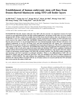 Establishment of human embryonic stem cell lines from frozen