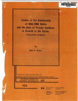 Studies of the relationship of RNA/DNA ratios and the rate of protein