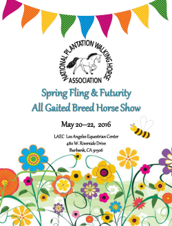 2016 Spring Fling Premium