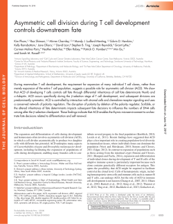 Asymmetric cell division during T cell development controls
