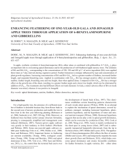 enhancing feathering of one-year-old gala and jonagold apple trees