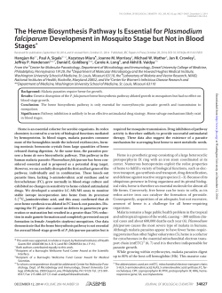 The Heme Biosynthesis Pathway Is Essential for Plasmodium