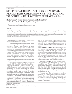 study of arterial pattern of normal placenta by corrosion cast method