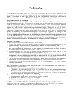 Rabbit Start Instructions
