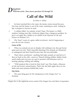 Call of the Wild