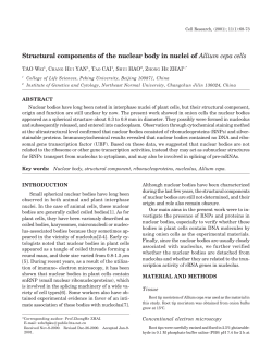 Structural components of the nuclear body in nuclei of