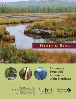 Hidden Risk: Mercury in Terrestrial Ecosystems of the Northeast