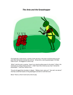 The Ants and the Grasshopper