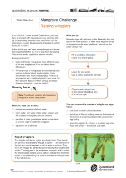 Raising wrigglers PDF