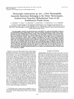 Thennosipho melanesiensis sp. nov., a New Thermophilic