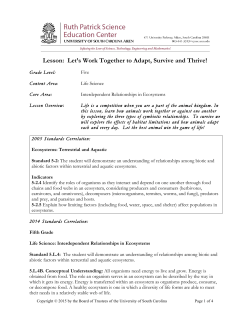 Lesson: Let`s Work Together to Adapt, Survive and Thrive!