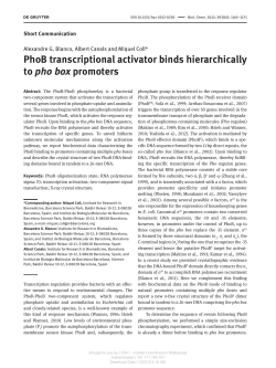 PhoB transcriptional activator binds hierarchically to pho box