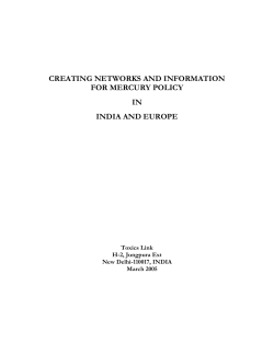Agreed project proposal - Zero Mercury Working Group
