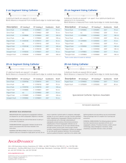 2 cm Segment Sizing Catheter 25 cm Segment
