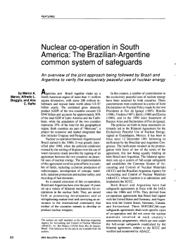 Nuclear co-operation in South America: The Brazilian