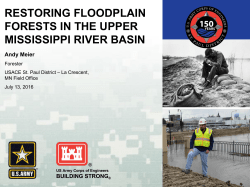 Floodplain forest restoration and implications for bird habitat along