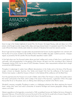 amazon river - Jungle Experiences