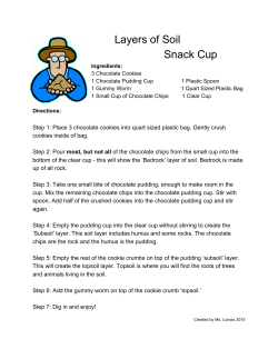 Layers of Soil Snack Cup