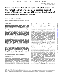 Extensive frameshift at all AGG and CCC codons in the